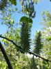 20160508_111655.jpg