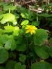 20160508_113535.jpg