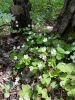 20160508_113953.jpg