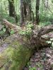 20160508_114741.jpg