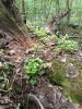 20160508_114816.jpg