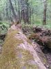 20160508_120145.jpg