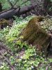 20160508_120627.jpg