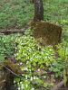 20160508_120636.jpg