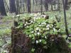 20160508_120745.jpg