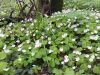 20160508_120748.jpg