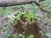 20160508_120950.jpg