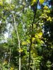 20160508_122100.jpg