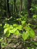20160508_122848.jpg
