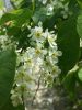 20160508_123947.jpg