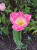 20160508_130640.jpg