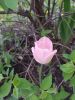 20160508_130648.jpg
