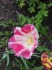 20160508_130702.jpg