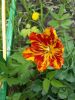 20160508_130717.jpg