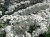 20160510_103644.jpg