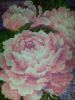 20160510_180441.jpg