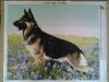 20160512_080338.jpg