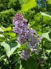 20160513_111633.jpg
