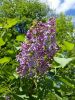 20160513_111636.jpg
