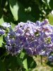 20160513_111716.jpg