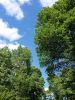 20160513_112315.jpg