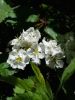 20160513_115429.jpg