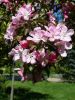 20160513_123347.jpg