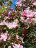 20160513_123353.jpg