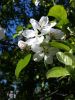 20160513_153121.jpg