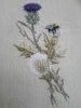 20160514_100136.thumb.jpg.f59fc26e562d42
