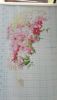 20160517_104323.jpg