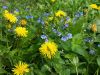 20160519_122642.jpg