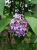 20160520_111638.jpg