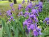 20160520_112146.jpg