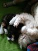 20160523_184041.jpg