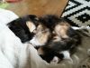 20160525_173714.jpg