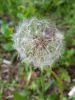 20160526_171702.jpg