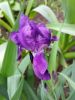 20160527_115013.jpg