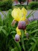 20160527_120140.jpg