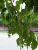 20160527_121020.jpg