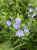 20160527_143300.jpg