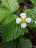 20160527_143403.jpg