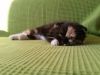 20160527_182616.jpg