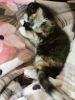 20160528_003840.jpg