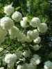 20160529_161048.jpg