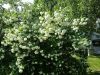 20160529_161059.jpg