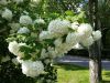 20160529_161112.jpg
