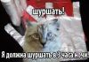 572b4a7c556f5_-----3--.thumb.jpg.60c666ac8833ff541a0180f745e1f2d1.jpg