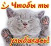 5db9f465-719f-431c-8c68-1f725f51d31f.jpg