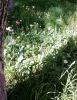 CAM00537.jpg